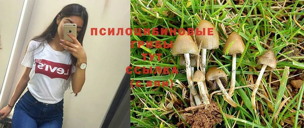 прущие крисы Балабаново